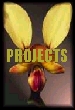 Projects
